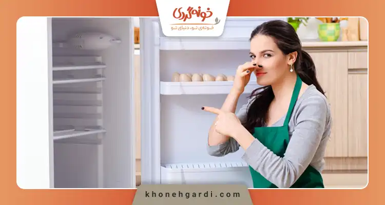 داخل یخچال را چگونه ضدعفونی کنیم؟