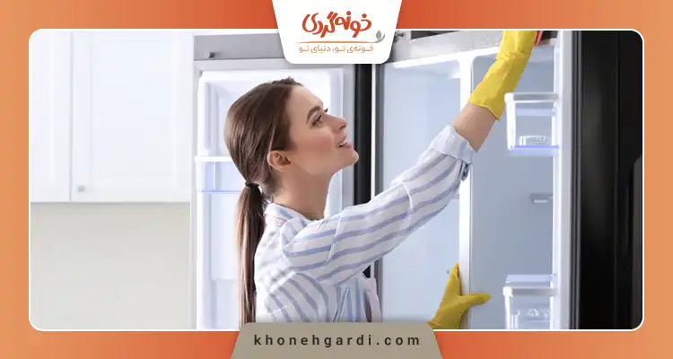 داخل یخچال را چگونه ضدعفونی کنیم؟