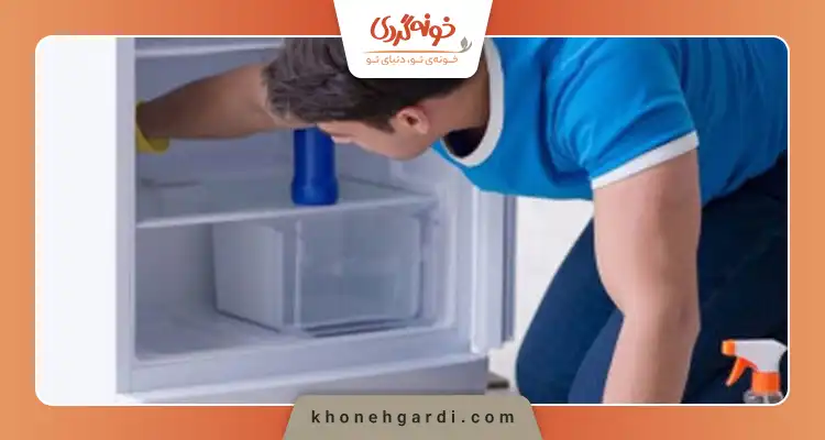چگونه بوی بد یخچال را از بین ببریم؟