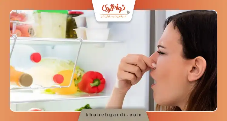 چگونه بوی بد یخچال را از بین ببریم؟