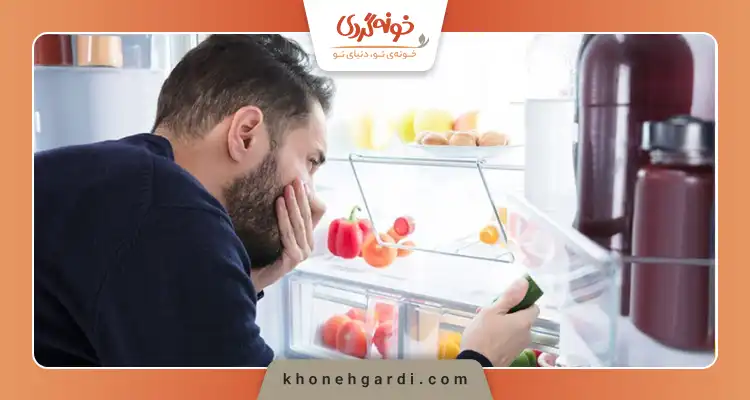 چگونه بوی بد یخچال را از بین ببریم؟