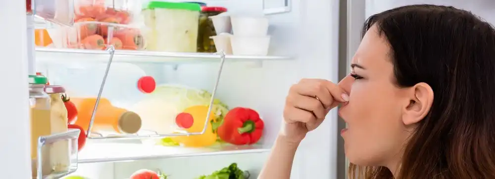چگونه بوی بد یخچال را از بین ببریم؟