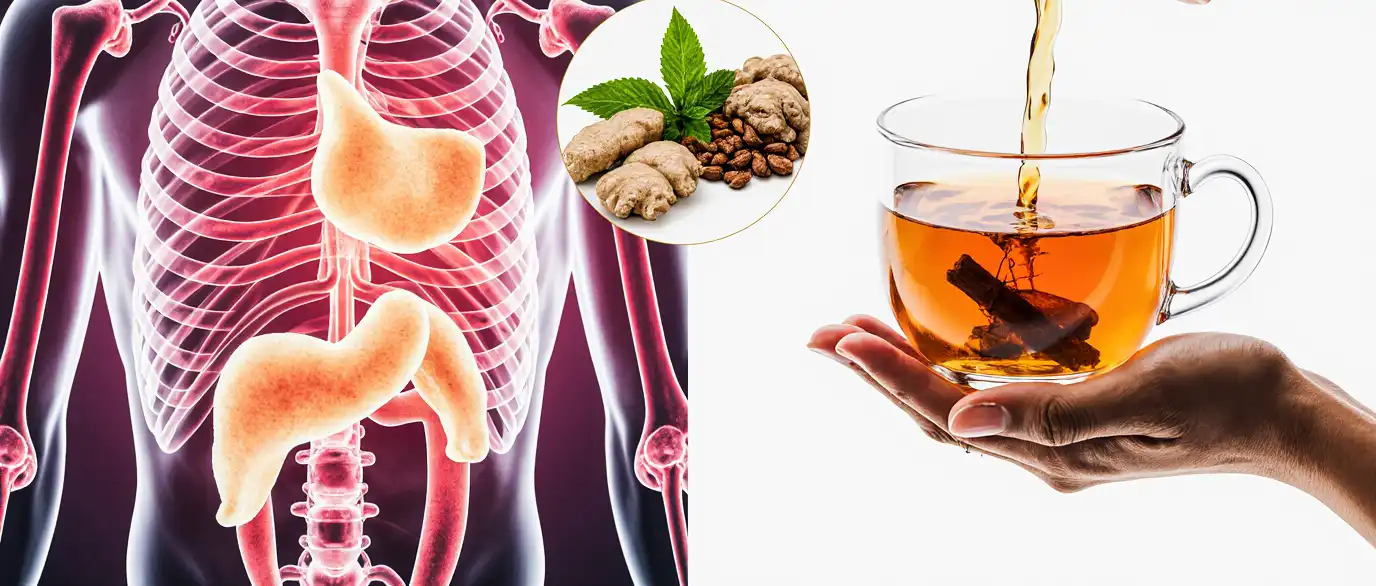 بهترین دمنوش برای کاهش چربی خون