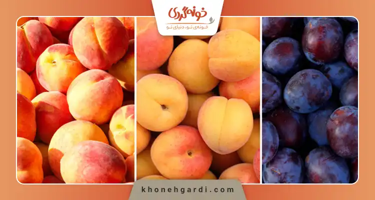 طرز تهیه لواشک خانگی هلو و آلو سیاه
