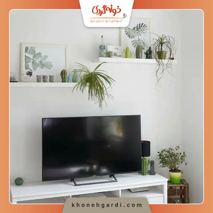 چیدمان گل طبیعی کنار تلویزیون