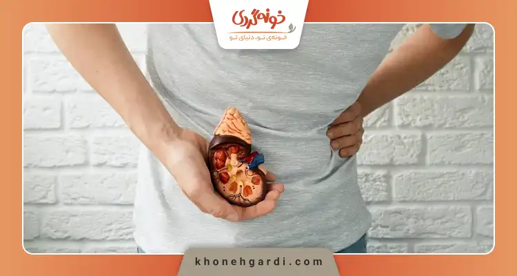 بهترین مارک ماءالشعیر برای سنگ کلیه