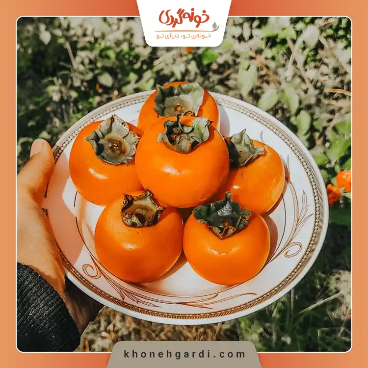 خوراکی های شب یلدا